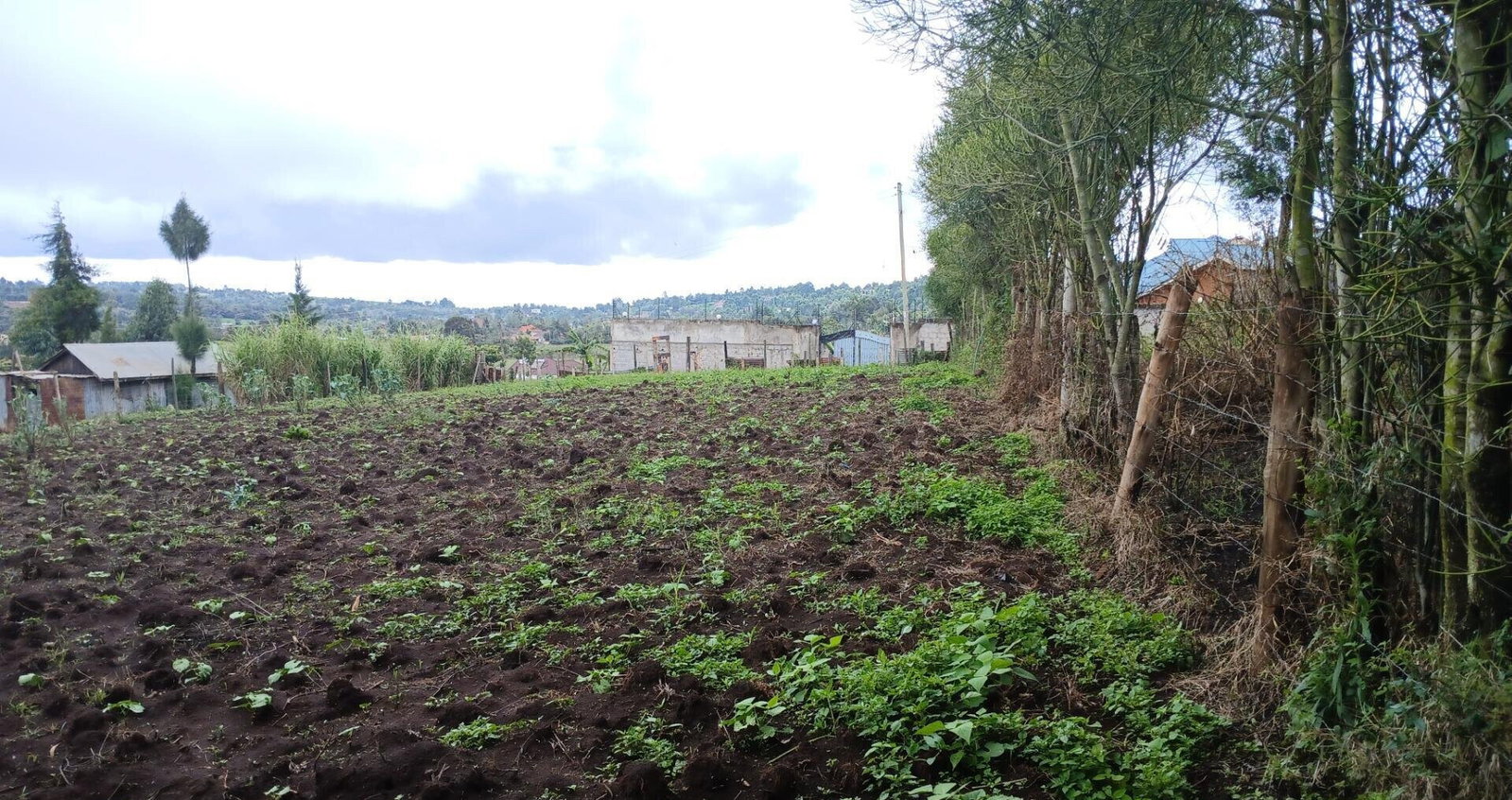 20.2-Acre Land in Kibiku, Ngong