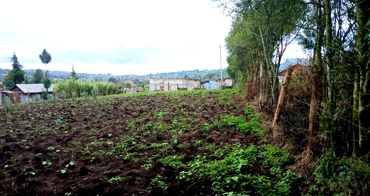 20.2-Acre Land in Kibiku, Ngong