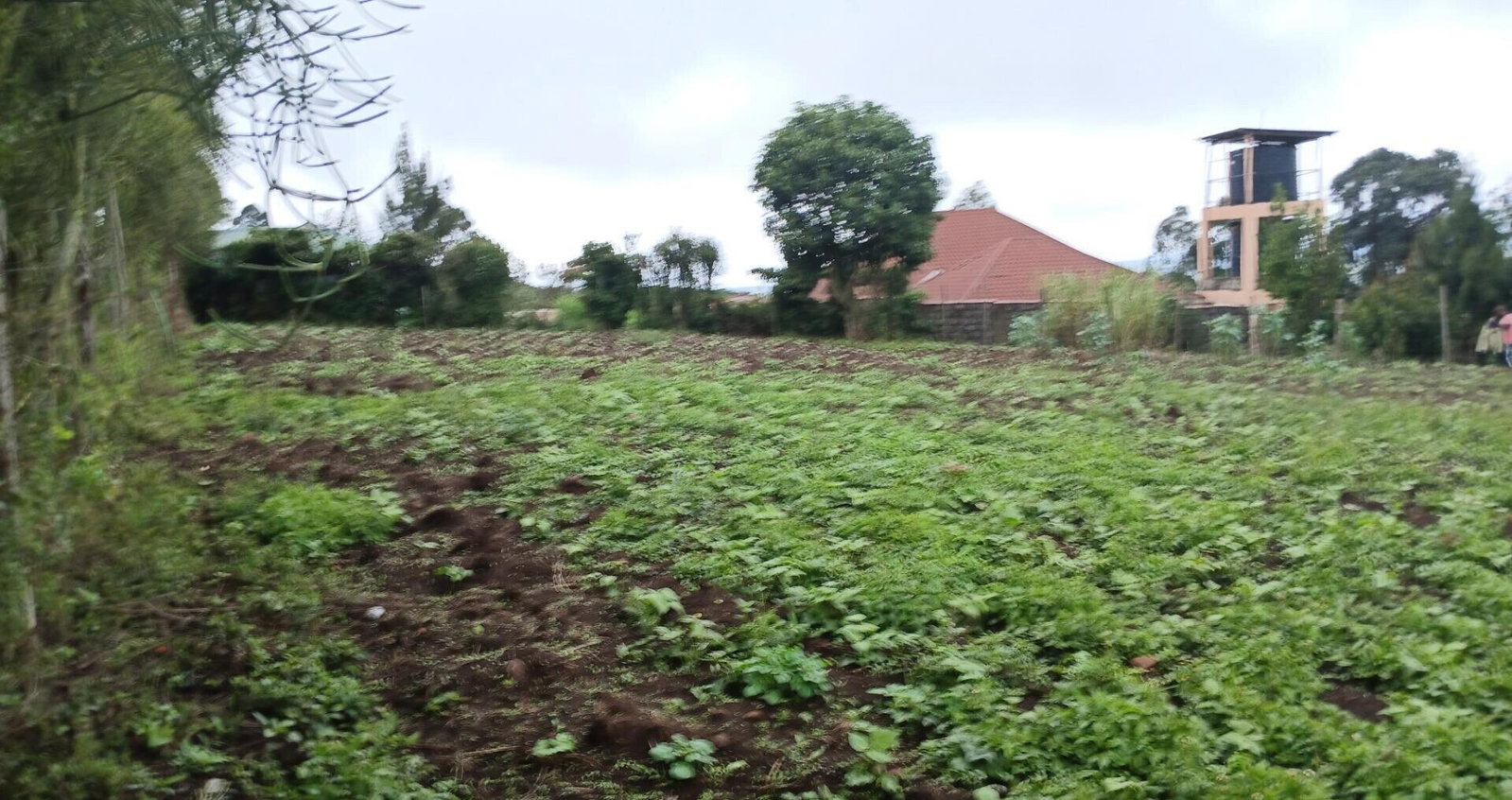 20.2-Acre Land in Kibiku, Ngong
