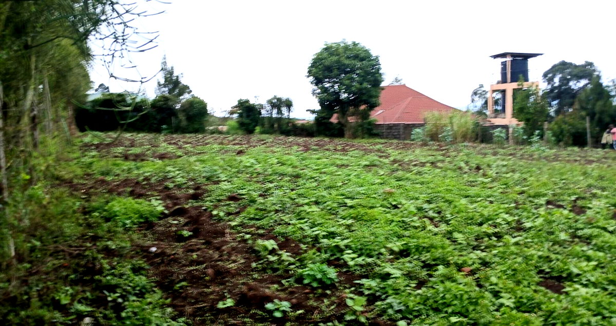 20.2-Acre Land in Kibiku, Ngong