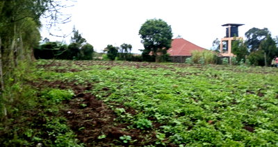 20.2-Acre Land in Kibiku, Ngong