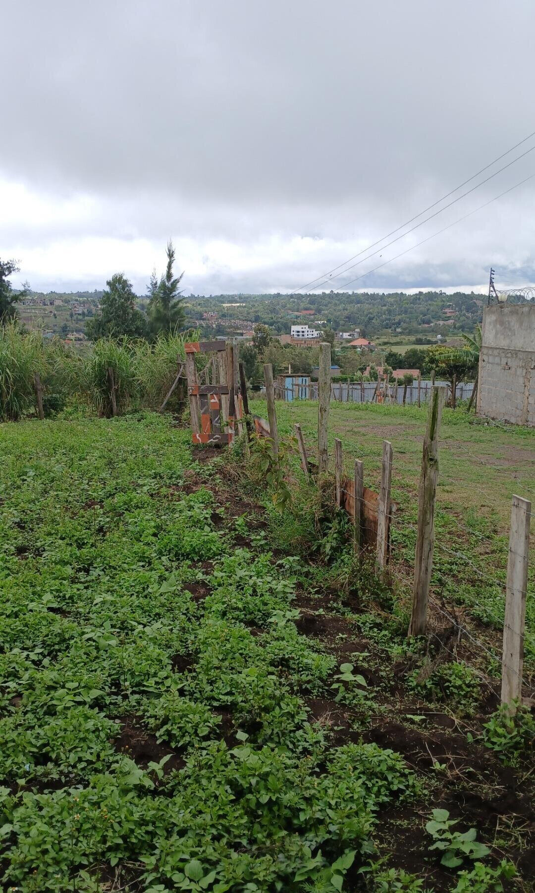 20.2-Acre Land in Kibiku, Ngong