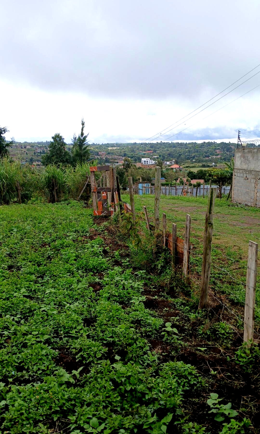 20.2-Acre Land in Kibiku, Ngong