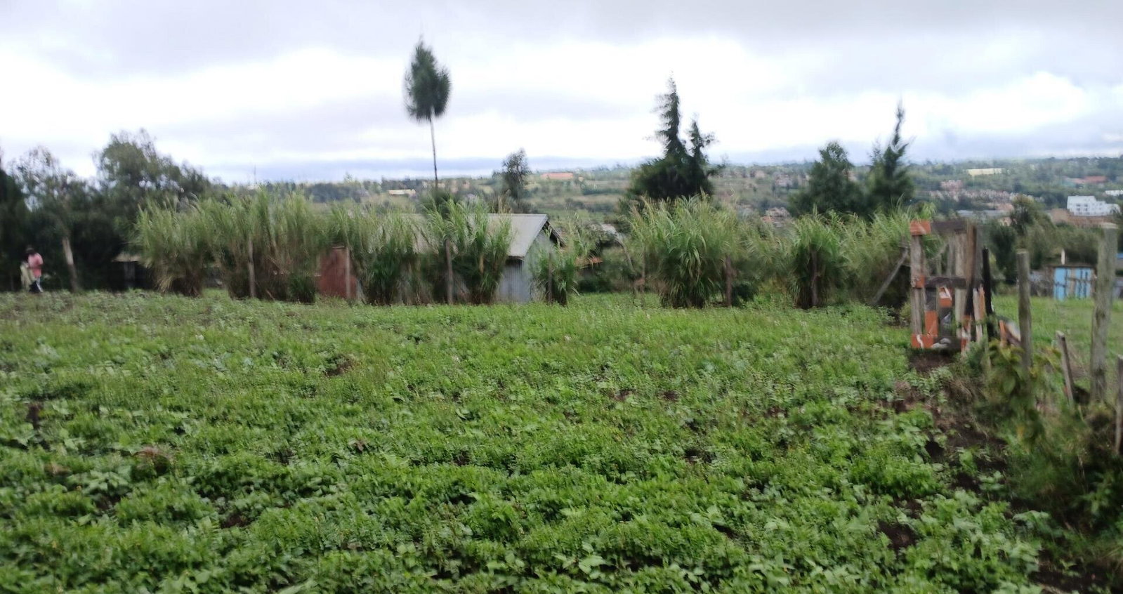 20.2-Acre Land in Kibiku, Ngong