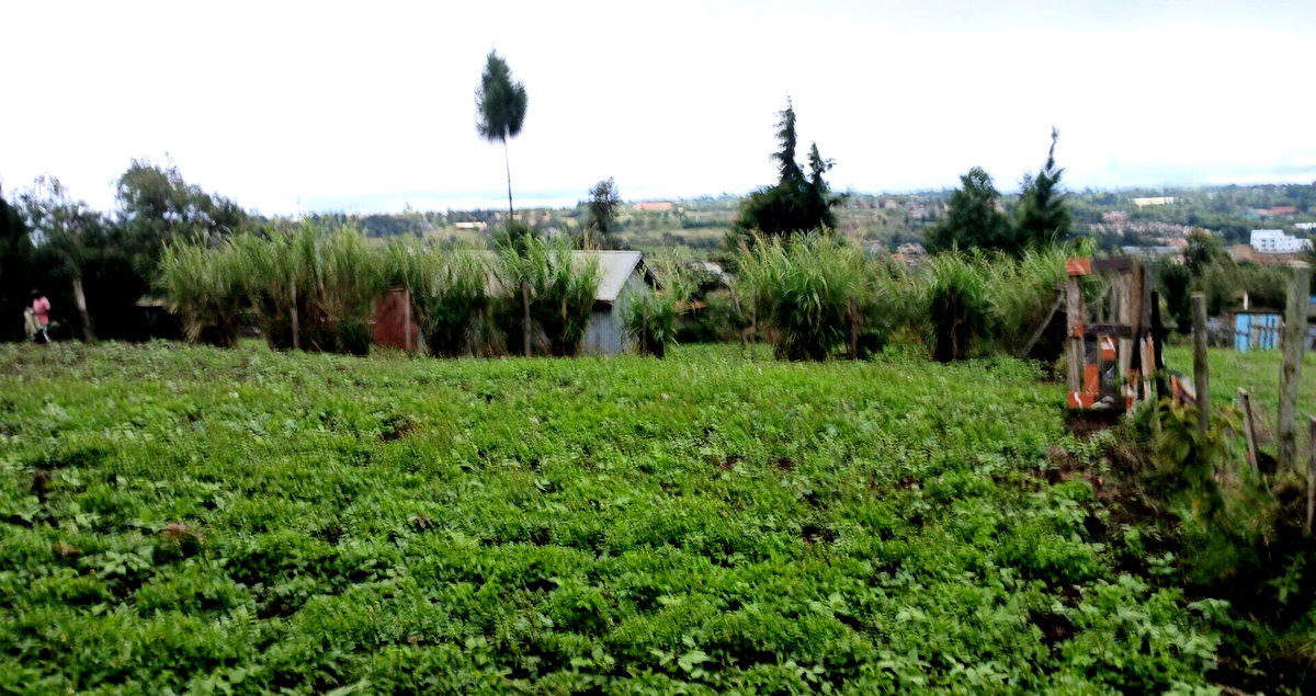 20.2-Acre Land in Kibiku, Ngong
