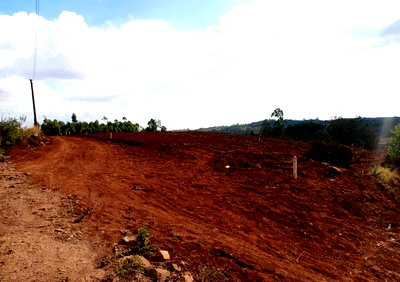 52-Acre Land in Kiambu