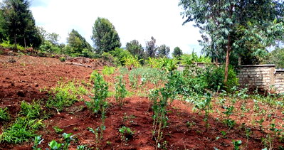 Garden Plot with Parking at KSh 4.5M