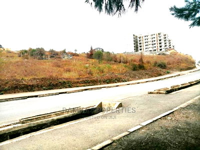 1/4 Acre Plot for Sale Fronting Tarmac in Milimani - Image 3