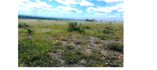 24 Acres Prime Land for Sale Off Moi South Lake Naivasha
