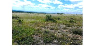 24 Acres Prime Land for Sale Off Moi South Lake Naivasha - Image 2