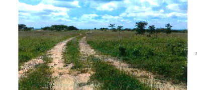 24 Acres Prime Land for Sale Off Moi South Lake Naivasha - Image 1