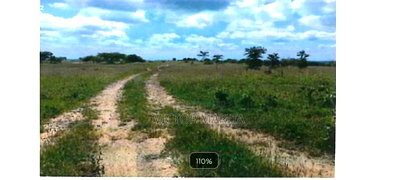 24 Acres Prime Land for Sale Off Moi South Lake Naivasha - Image 3