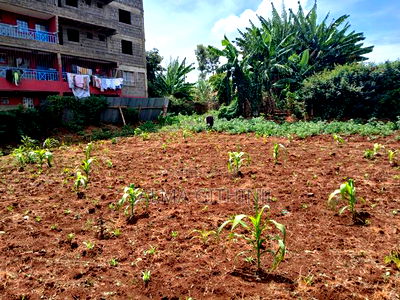 50 by 100 Commercial Plot for Sale in Kikuyu,Kinoo - Image 3