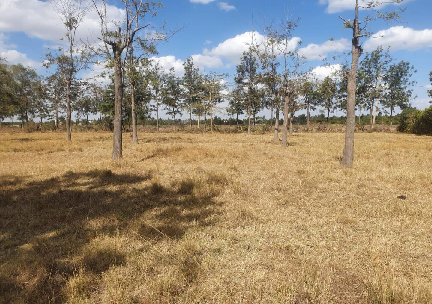 Karen's Best Kept Secret at KSh 25M