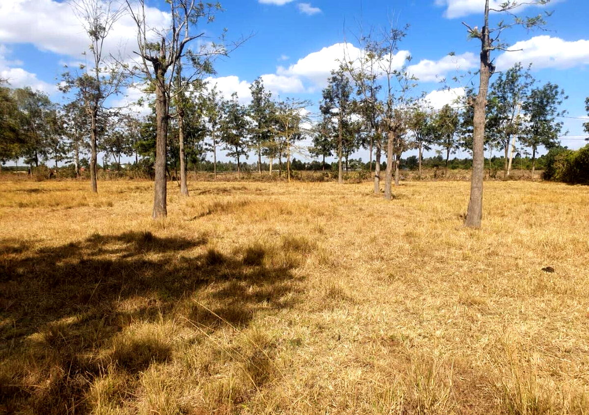Karen's Best Kept Secret at KSh 25M