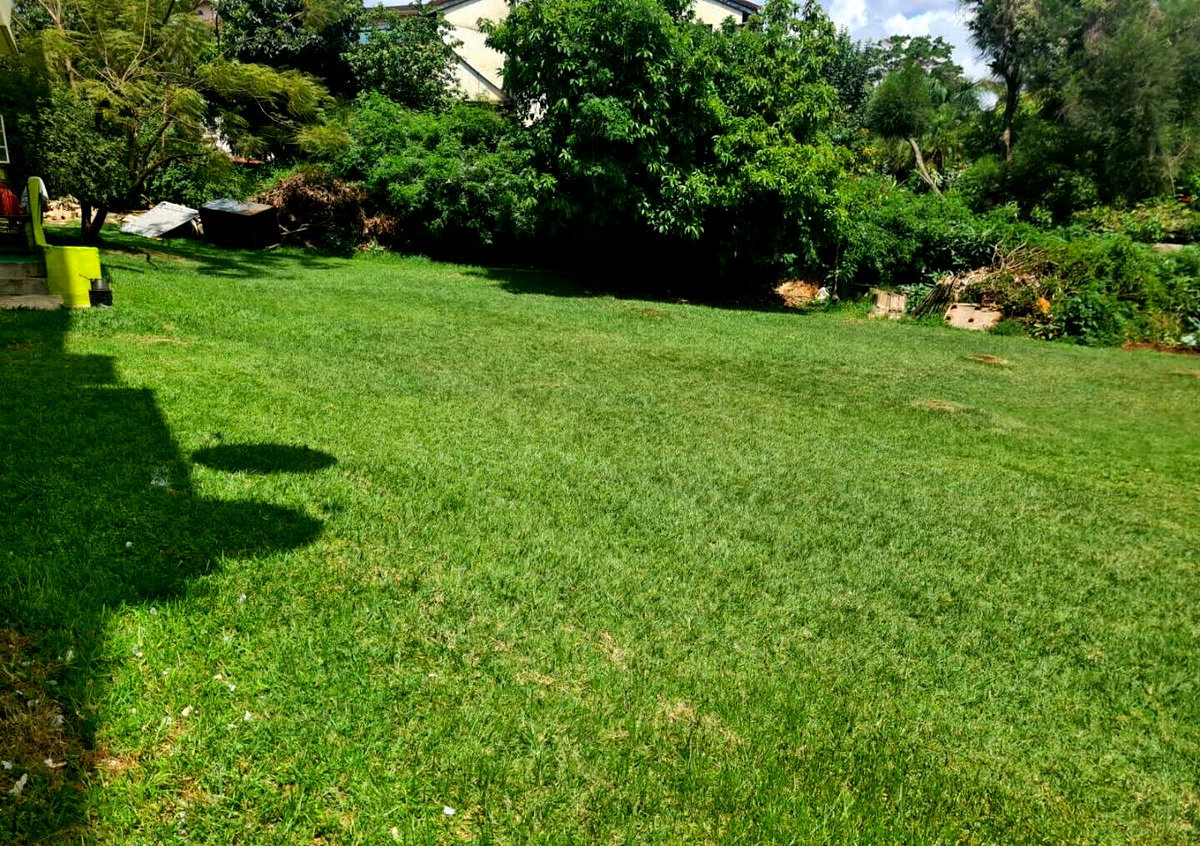 Karen's Best Kept Secret at KSh 25M