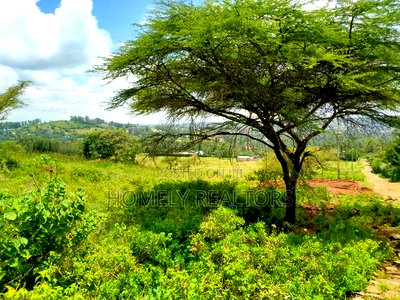 Half Acre Plot in Kiserian Few Meters From Kahara Rd Tarmac - Image 5