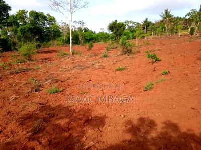 Affordable 50 By100 Plots in Kilifi for Ksh35,000 Per Month - Image 9