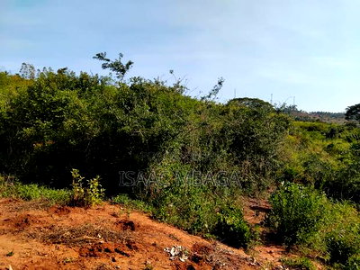 Affordable 50 By100 Plots in Kilifi for Ksh35,000 Per Month - Image 8