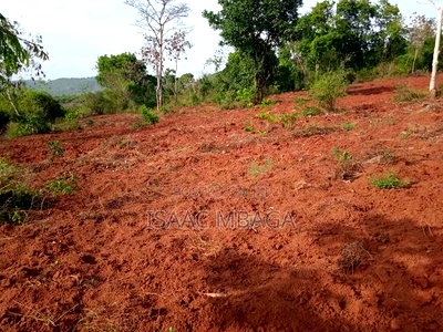Affordable 50 By100 Plots in Kilifi for Ksh35,000 Per Month - Image 4