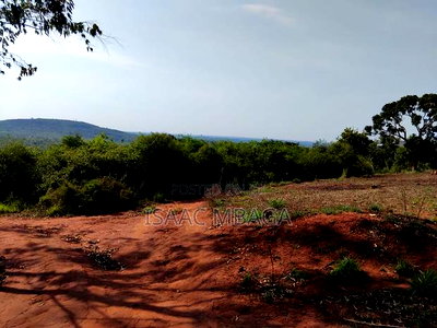 Affordable 50 By100 Plots in Kilifi for Ksh35,000 Per Month - Image 7