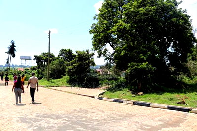 Half an Acre Land for Sale in a Gated Estate in Tigoni - Image 4