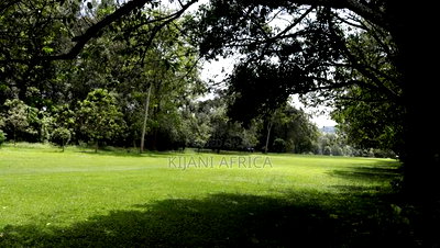 Half an Acre Land for Sale in a Gated Estate in Tigoni - Image 2