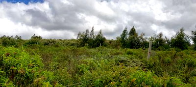 1/8 Acre Plot for Sale in Ngong - Image 4