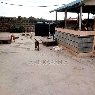 3bdrm Bungalow in Ngoliba for sale - Image 8