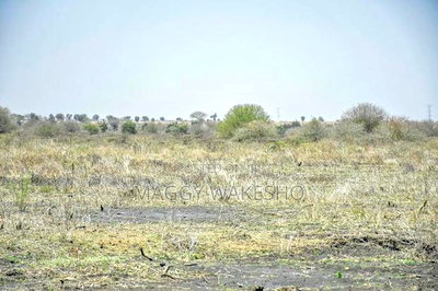 Plots for Sale in Konza Only 300 Metres From Konza Town - Image 13