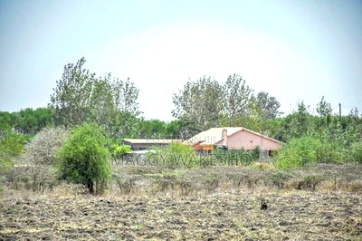 Plots for Sale in Konza Only 300 Metres From Konza Town - Image 10