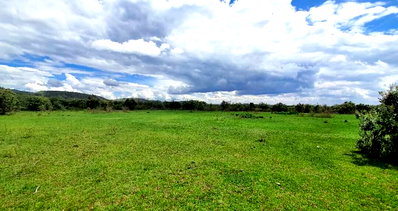 100x100 Plot in Naivasha