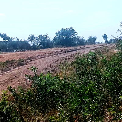 Residential Plots for Sale in Mwireri (Juja Farm) - Image 2