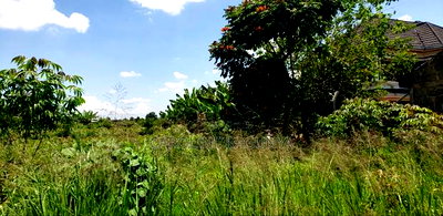 Plot for Sale - Image 2