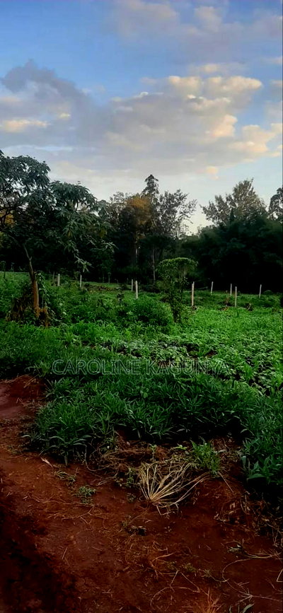 Plot for Sale - Image 3