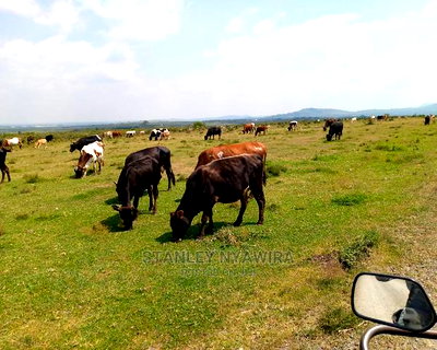 10 Acreas Rumuruti Lyam - Image 1