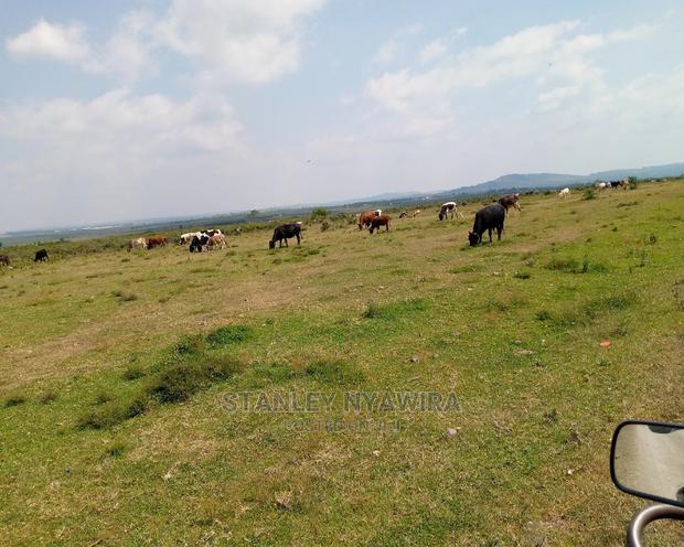 10 Acreas Rumuruti Lyam