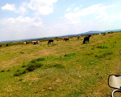 10 Acreas Rumuruti Lyam - Image 3