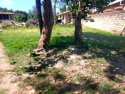 50by100 Plot in JCC Area Bamburi With Freehold Title at 3.2m - Image 4