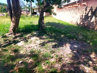 50by100 Plot in JCC Area Bamburi With Freehold Title at 3.2m - Image 3