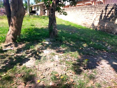 50by100 Plot in JCC Area Bamburi With Freehold Title at 3.2m - Image 9