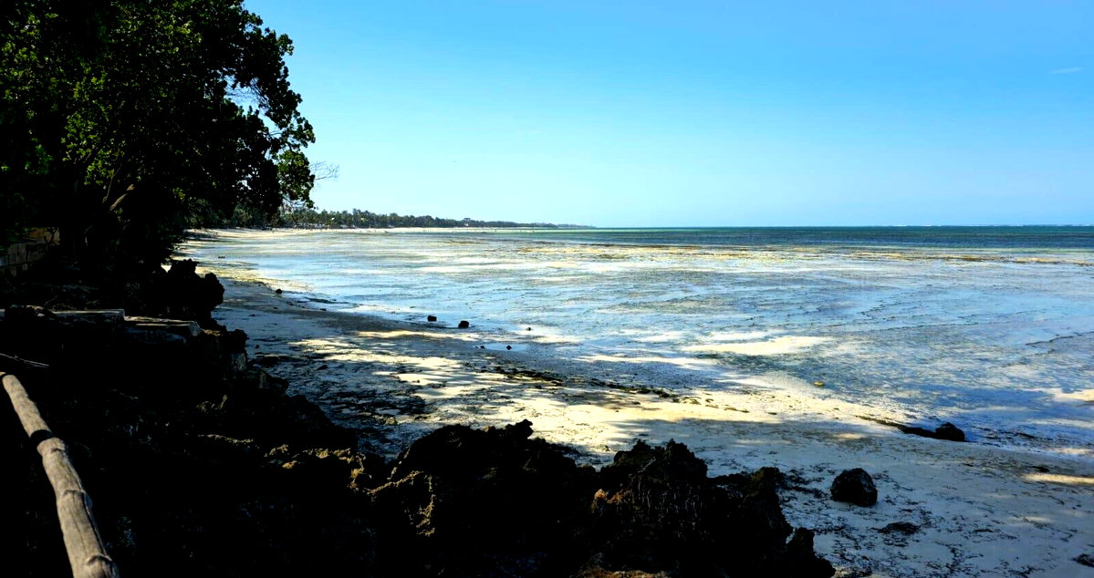 1-Acre Beachfront Plot in Nyali Mkomani