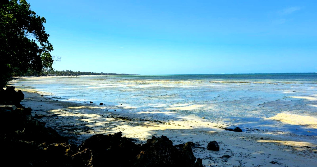 1-Acre Beachfront Plot in Nyali Mkomani