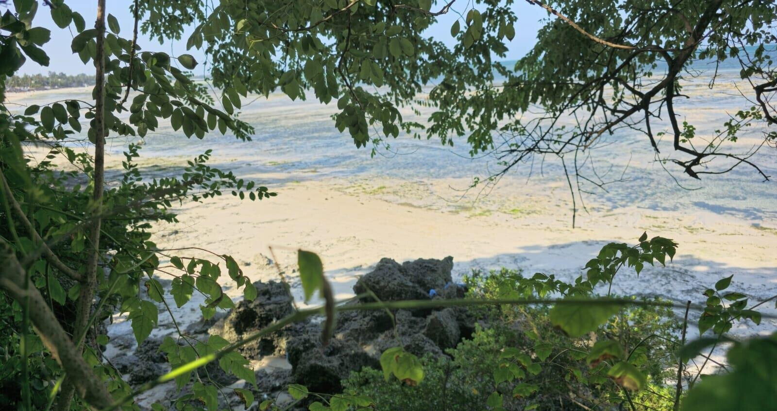 1-Acre Beachfront Plot in Nyali Mkomani