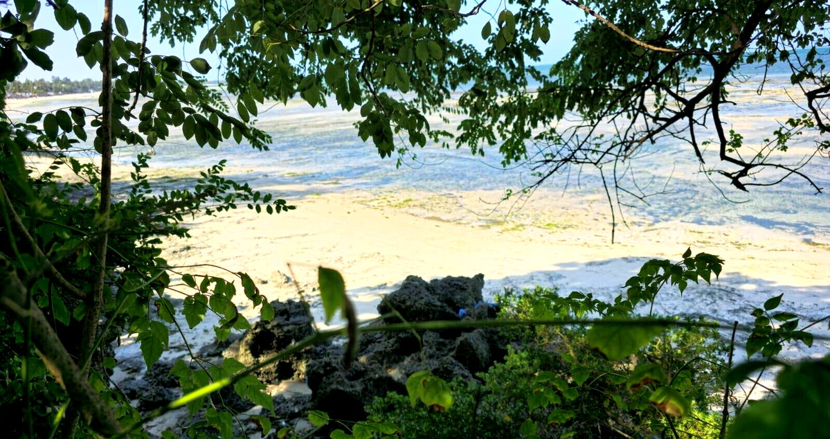 1-Acre Beachfront Plot in Nyali Mkomani