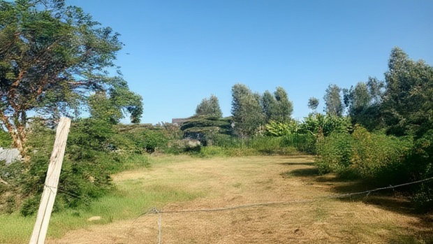 Plot for Sale in Mugutha