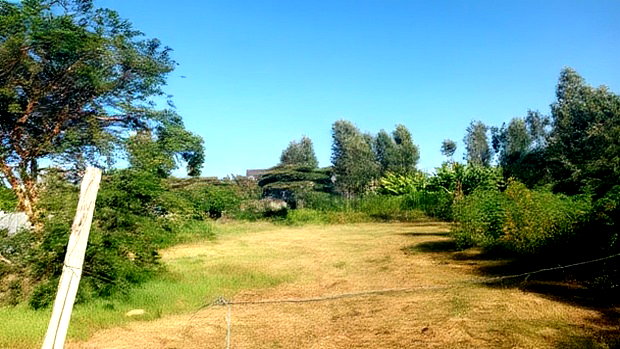 Plot for Sale in Mugutha