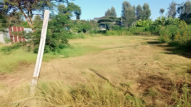 Plot for Sale in Mugutha