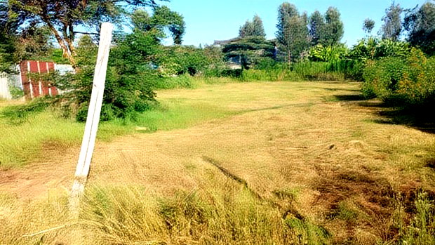 Plot for Sale in Mugutha