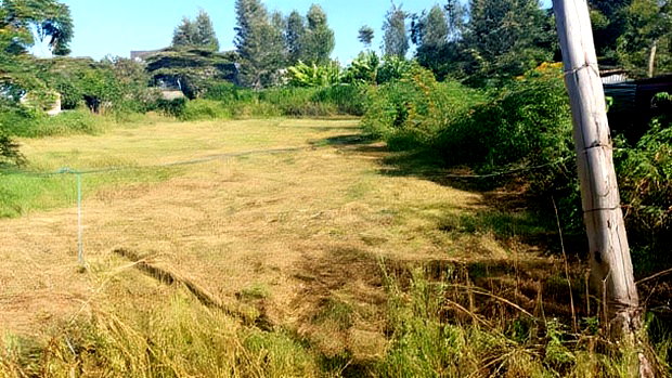 Plot for Sale in Mugutha